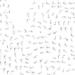 wind_2026-01-01T06:00 preview