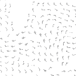 wind_2026-01-07T06:00 preview