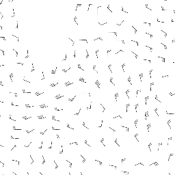 wind_2026-01-07T12:00 preview