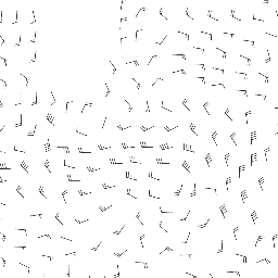 wind_2026-01-08T06:00 preview