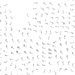 wind_2026-01-11T00:00 preview