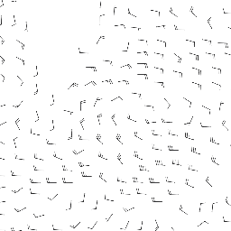 wind_2026-01-12T06:00 preview