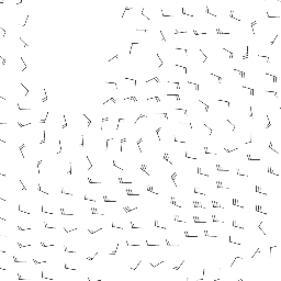 wind_2026-01-12T12:00 preview