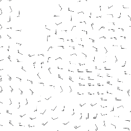 wind_2026-02-24T06:00 preview