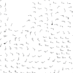 wind_2026-02-24T18:00 preview