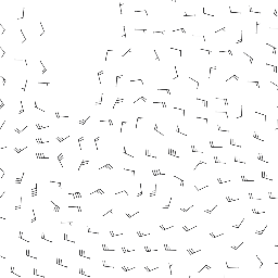 wind_2026-02-25T06:00 preview