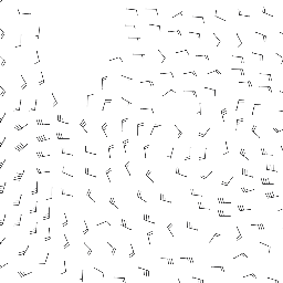 wind_2026-02-28T06:00 preview