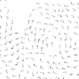 wind_2026-03-01T06:00 preview