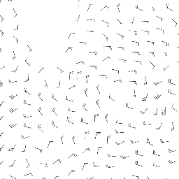 wind_2026-03-06T00:00 preview