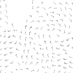 wind_2026-03-06T12:00 preview