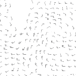 wind_2026-03-07T06:00 preview