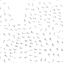 wind_2026-03-10T06:00 preview