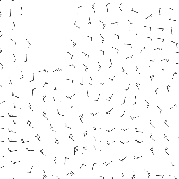 wind_2026-03-12T06:00 preview