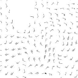 wind_2026-04-21T12:00 preview