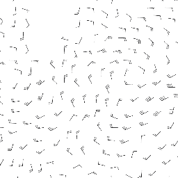 wind_2026-04-26T06:00 preview